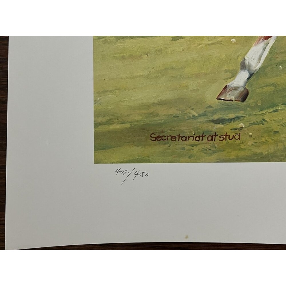 Secretariat Kentucky Derby Racehorse Lithograph Art Artist Signed Triple Crown - Picture 6 of 8
